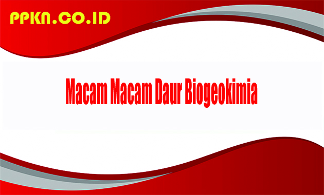 Macam Macam Daur Biogeokimia