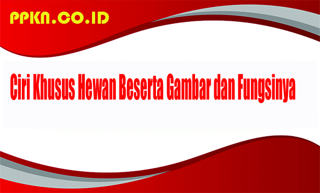 Ciri Khusus Hewan Beserta Gambar dan Fungsinya