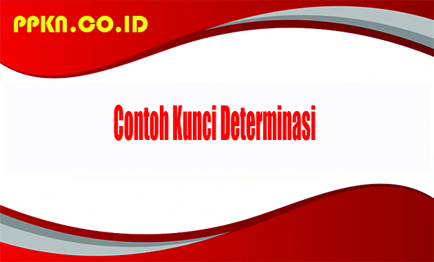 Contoh Kunci Determinasi 