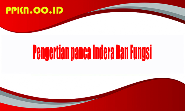 Pengertian panca Indera Dan Fungsi