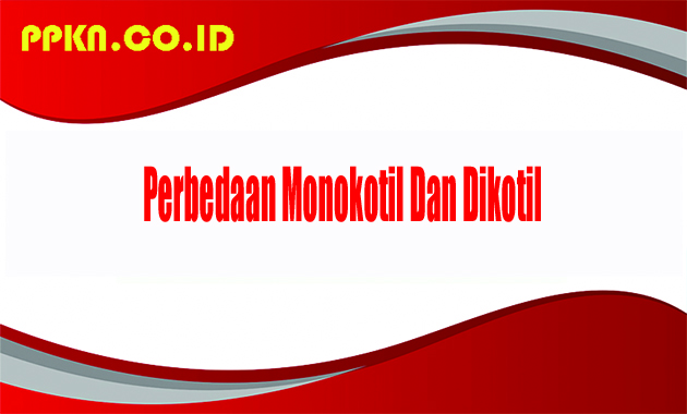 Perbedaan Monokotil Dan Dikotil