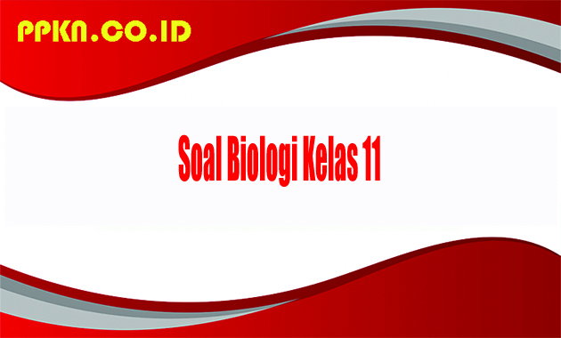 Soal Biologi Kelas 11