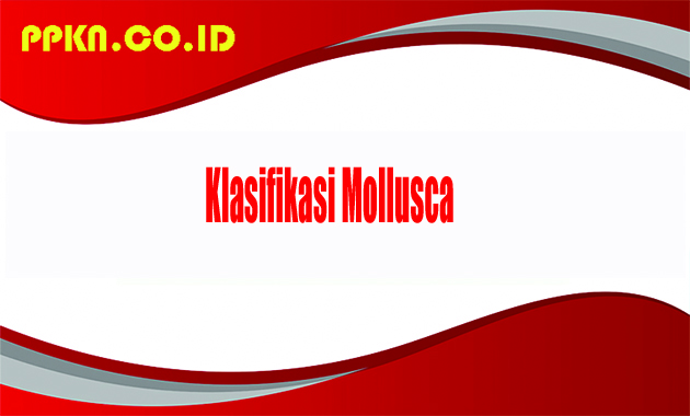 klasifikasi mollusca