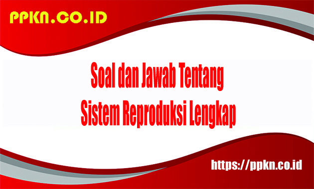 soal tentang sistem reproduksi kelas 11