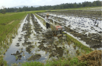 soal antropologi dan kunci jawaban kelas 12