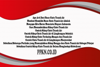 Contoh-Sikap-Cinta-Tanah-Air