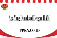 Apa Yang Dimaksud Dengan HAM
