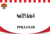 Soal IPA Kelas 6