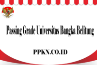 Passing Grade Universitas Bangka Belitung