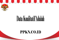 Data Kualitatif Adalah