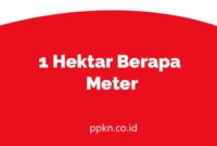 1 Hektar Berapa Meter