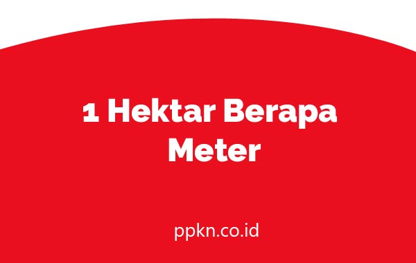 1 Hektar Berapa Meter