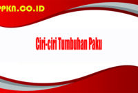 Ciri-ciri Tumbuhan Paku