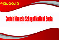 Contoh Manusia Sebagai Makhluk Sosial
