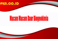 Macam Macam Daur Biogeokimia