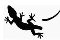 kode-alam-cicak-buntung