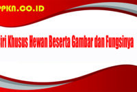 Ciri Khusus Hewan Beserta Gambar dan Fungsinya