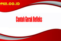 Contoh Gerak Refleks