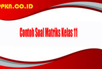 Contoh Soal Matriks Kelas 11