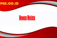 Hewan Melata