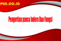 Pengertian panca Indera Dan Fungsi