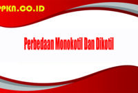 Perbedaan Monokotil Dan Dikotil
