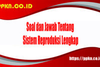 soal tentang sistem reproduksi kelas 11