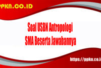 Soal USBN Antropologi SMA Beserta Jawabannya