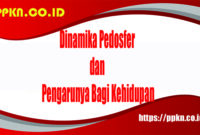 Dinamika Pedosfer dan Pengarunya Bagi Kehidupan