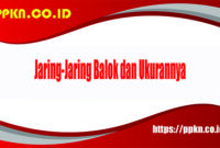 jaring jaring balok dan ukurannya