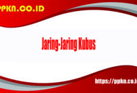 Jaring-Jaring Kubus