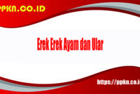 erek erek ayam dan ular