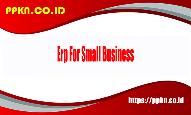 erp for small business