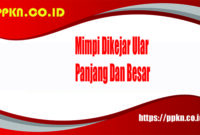 Mimpi Dikejar Ular Panjang Dan Besar