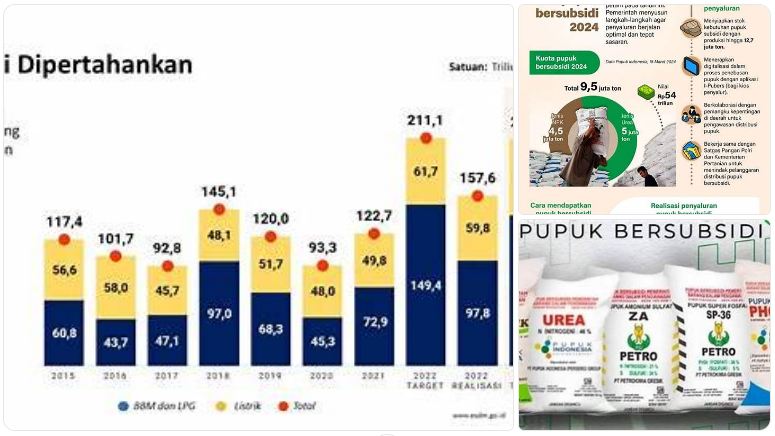 kebijakan subsidi pemerintah Indonesia