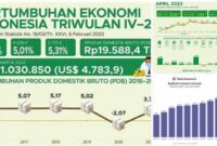 resiliensi ekonomi Indonesia
