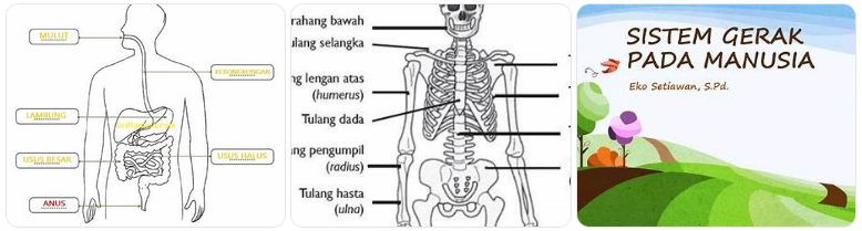 kumpulan soal IPA SMP