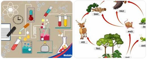 kumpulan soal IPA SMP