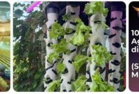 pembangunan berkelanjutan dan masyarakat