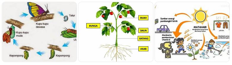 contoh soal USB N SD