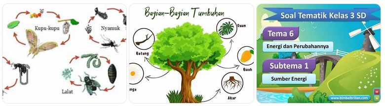 Soal teknis PPPK guru SD