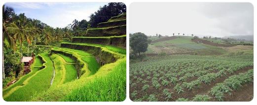 Soal teknis PPPK guru IPS