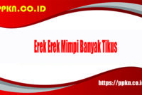 Erek Erek Mimpi Banyak Tikus