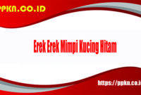 Erek Erek Mimpi Kucing Hitam