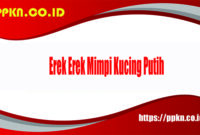Erek Erek Mimpi Kucing Putih