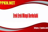 Erek Erek Mimpi Berkelahi