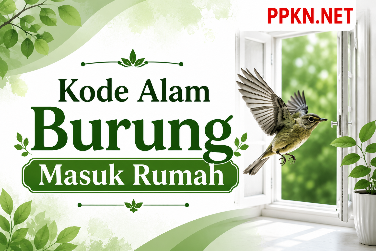 Kode Alam Burung Masuk Rumah