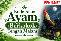 Kode Alam Ayam Berkokok Tengah Malam