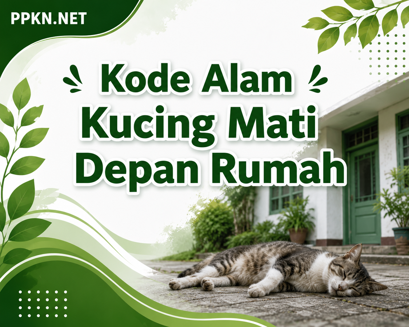 Kode Alam Kucing Mati Depan Rumah