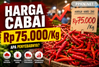 PPKN.NET (5)